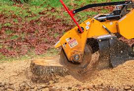 Best Stump Grinding and Removal  in Midland, PA